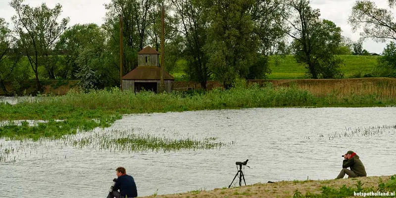 De Millingerwaard is een paradijs voor vogelaars De Millingerwaard is een paradijs voor vogelaars