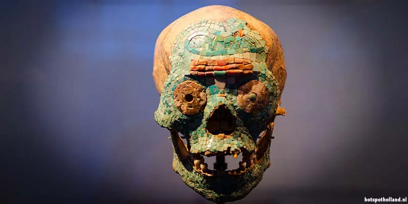 Mixtec skull at Museum Volkenkunde Mixtec skull