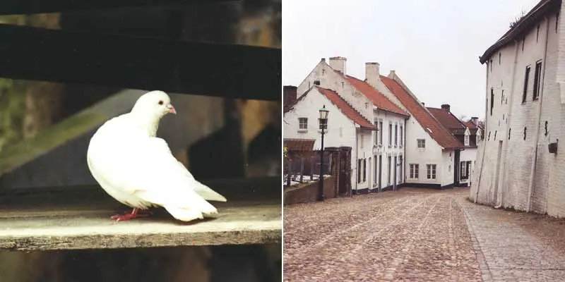 Thorn, het witste stadje van het land Thorn, het witste stadje van het land