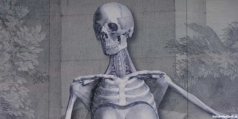 Anatomisch Museum