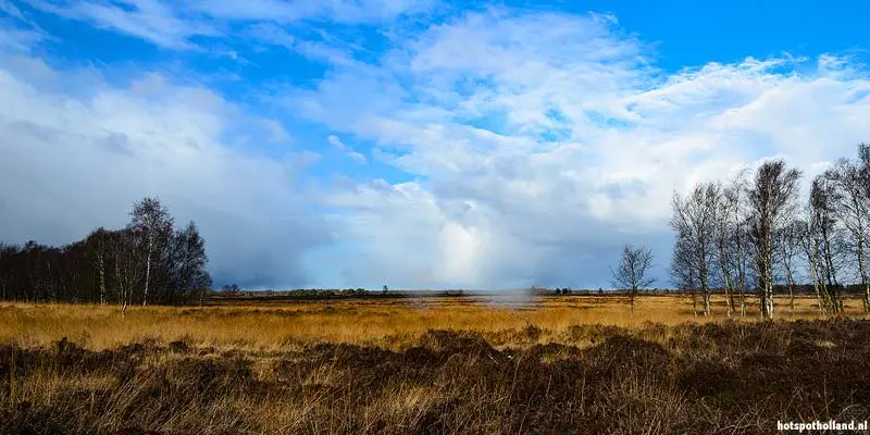 Balloerveld