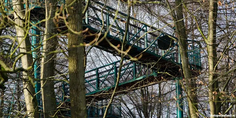 In winter the treetop path becomes visible