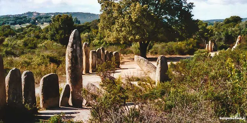 Menhirs op Corsica