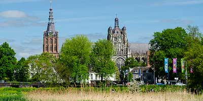 De skyline van Den Bosch, gezien vanuit natuurgebied Het Bossche Broek