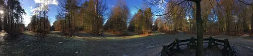 Dertiensprong op de Carolinaberg in het bos bij Dieren