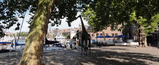 Mini stedentrip Dordrecht, Historische stad bij de Biesbosch Langs het water in Dordrecht