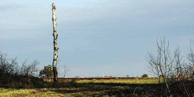 Besucherzentrum Dwingelerveld