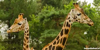 GAIA Zoo in Kerkrade