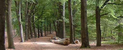 Grebbeberg Rhenen tijdens WOII, De geschiedenis van de Grebbelinie Wandelen langs de Grebbelinie