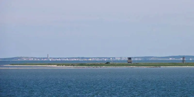 Vogeleiland Griend. Op de achtergrond Terschelling met links de Brandaris