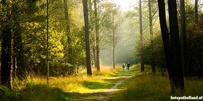 Herfstwandeling bij Lage Vuursche