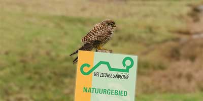 Natural reserve Het Zwin