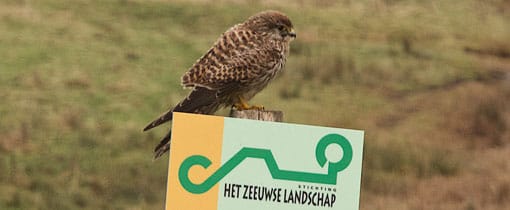 Het Zwin, Natuurgebied met uitzicht op de zeeschepen Het Zwin in Zeeuws Vlaanderen