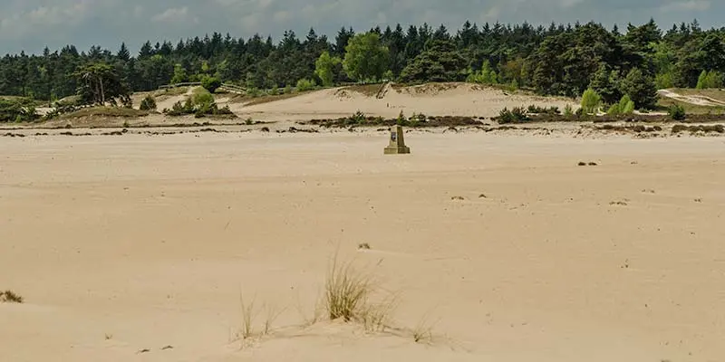 The enormous sand plain of Hulshorsterzand