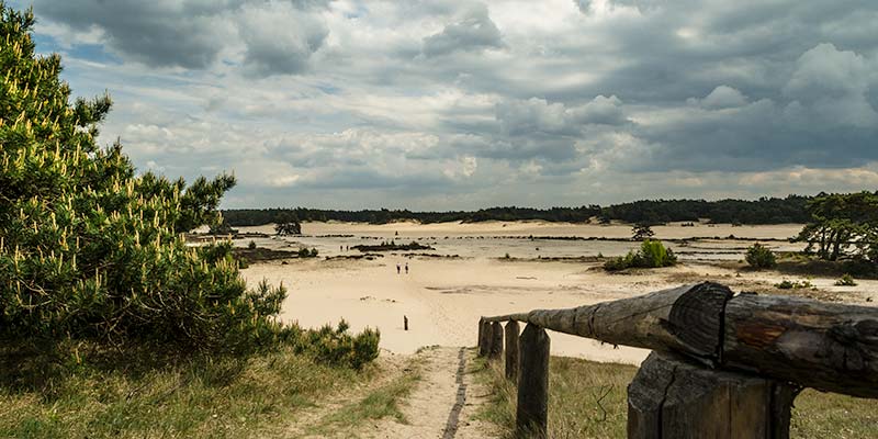 Gekke uitjes Hulshorsterzand