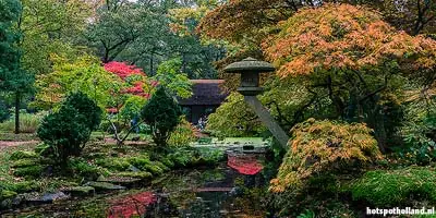 Herfst in de Japanse Tuin in Den Haag