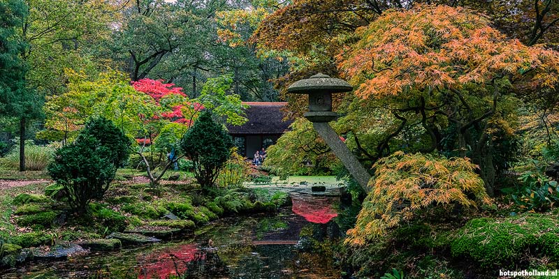 Herfst in de Japanse Tuin in Den Haag