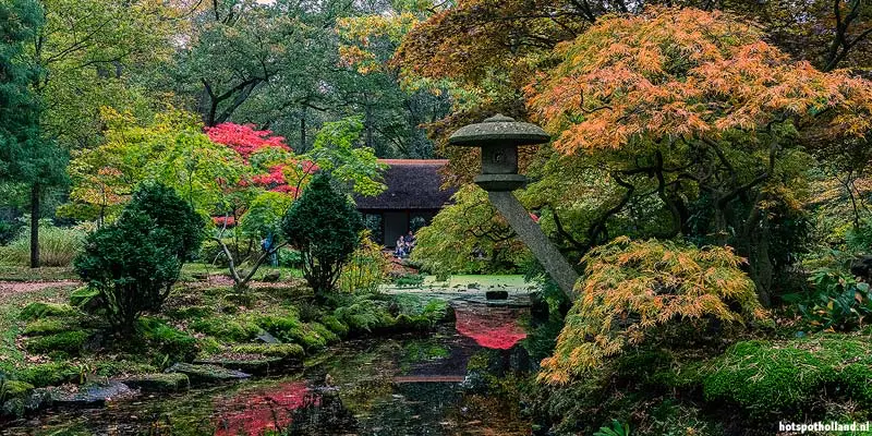 Herfst in de Japanse Tuin in Den Haag
