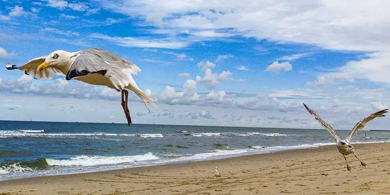 Kijkduin strand