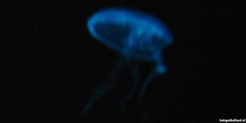 Zee Aquarium