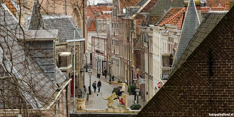 Uitzicht vanaf De Burcht in Leiden