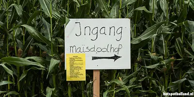 Leuke en unieke uitjes 