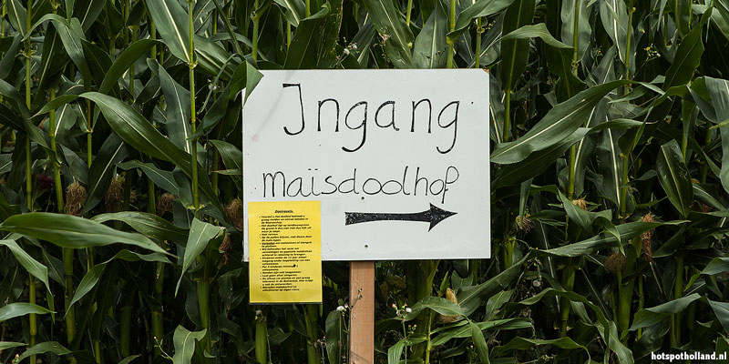 Het maisdoolhof is een organische dwaaltuin en kan alleen in de zomer bezocht kan worden