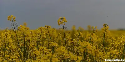 Westernmost Point in Germany