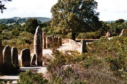 De stenenrij van Palaggiu Menhirs op Corsica