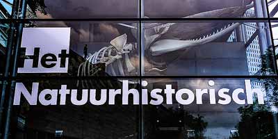 Leuke uitstapjes Natuurhistorisch Museum Rotterdam