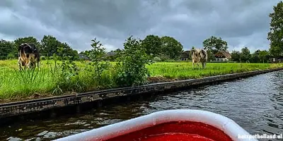 Leuke uitjes 