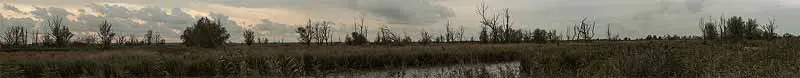 Oostvaardersplassen Oostvaardersplassen