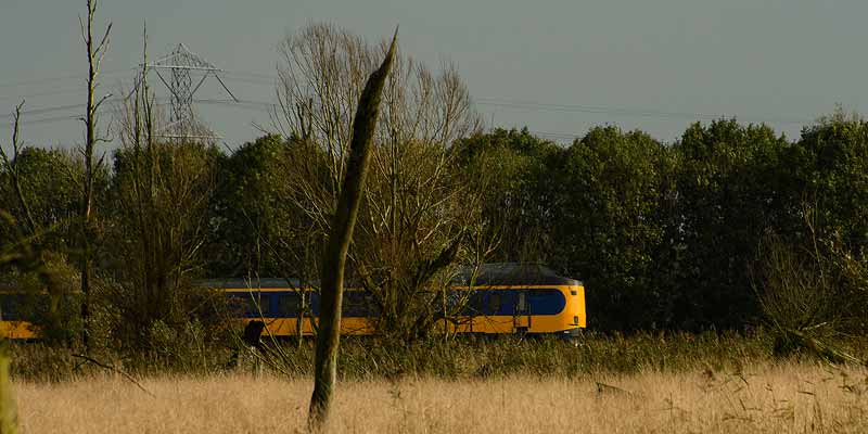 Discover the Netherlands by train