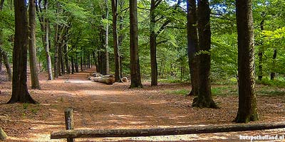 Wandelen langs de Grebbelinie