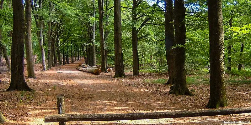 Grebbeberg Rhenen tijdens WOII