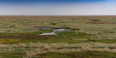 Het verdronken land van Saeftinghe