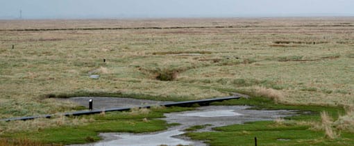 Saeftinghe bezoekerscentrum, Het Verdronken Land Het verdronken land van Saeftinghe