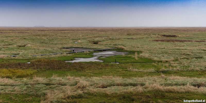 Drowned land of Saeftinghe