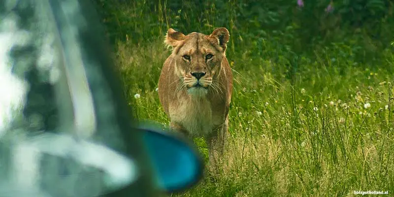Safaripark Beekse Bergen