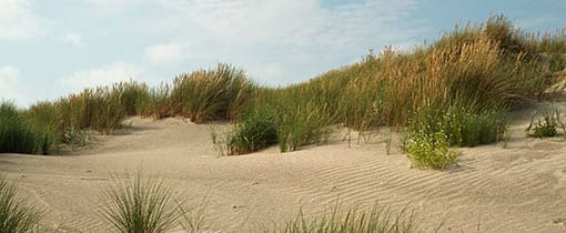 Lekker struinen in de duinen van Schiermonnikoog