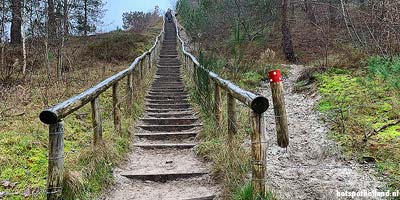 Schoorl Dünen Treppe