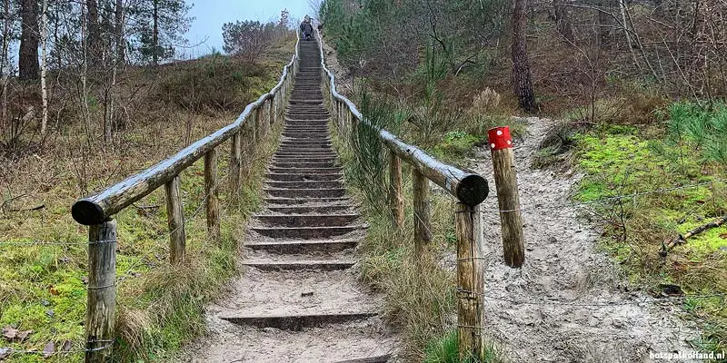 Hoogste duin van Nederland