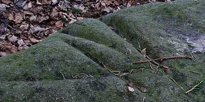 Stone Age in the Netherlands: Grindstone of Slenaken