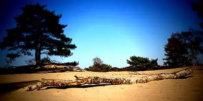 Dutch deserts: Top 10 drift sand areas