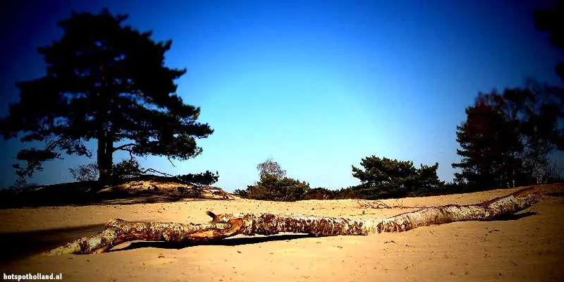 Dutch deserts: Top 10 Stuifzandgebieden