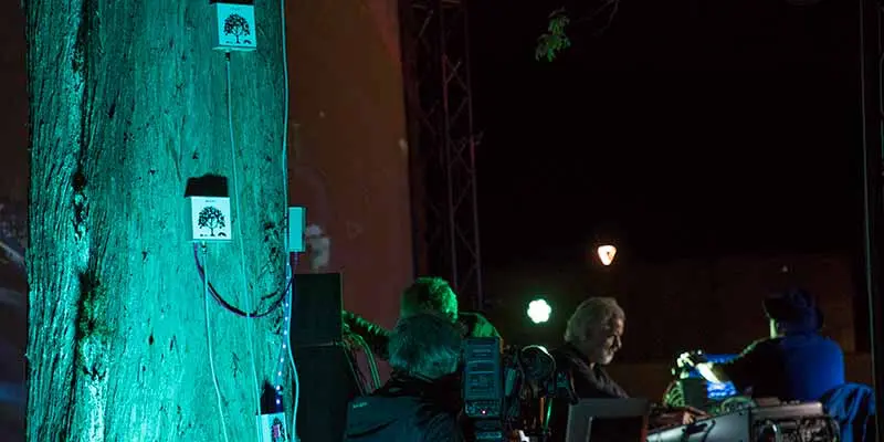 Talking Trees. Bomen geven een concert