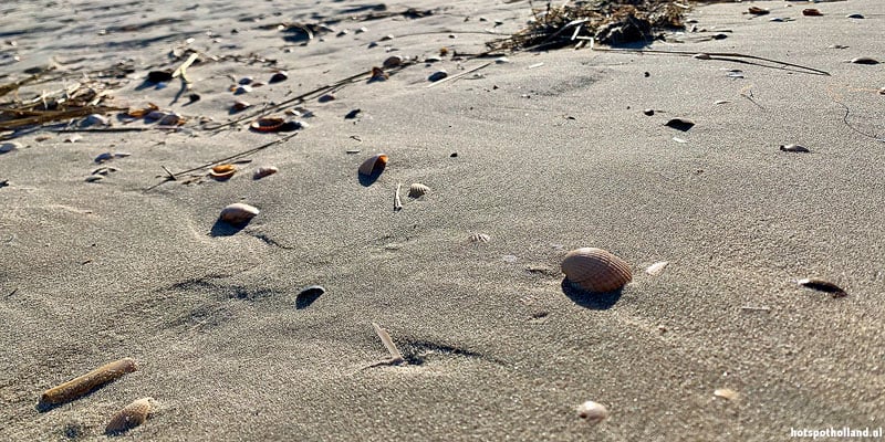 Het strand is leuk in ieder jaargetijde