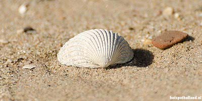 Het strand van Terschelling