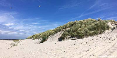 The dunes of the Dutch island Terschelling