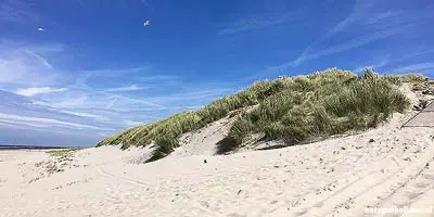 Leuke uitjes 